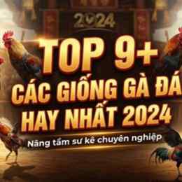 giong ga da hay nhat https:7789bet.top