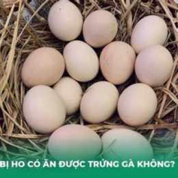 ho có được ăn da gà