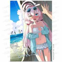 hoshino ga iin da yo!!