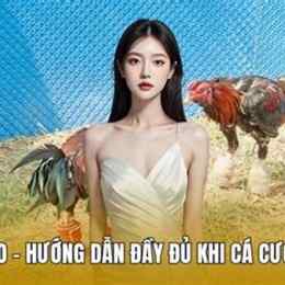 hướng dẫn cược đá gà