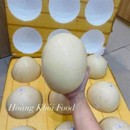 hướng dẫn sử dụng 1 trứng đà điểu bằng bao nhiêu trứng gà