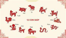hướng dẫn sử dụng 12 con giáp đá gà