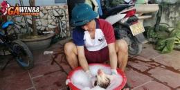 hướng dẫn sử dụng ban ga da cua sat moi nhat