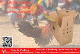 hướng dẫn sử dụng bán gà đá giá rẻ