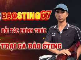 hướng dẫn sử dụng baosting đá gà