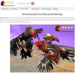 hướng dẫn sử dụng bat da ga moi nhat 2016