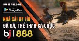 hướng dẫn sử dụng bj888 da ga