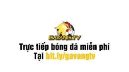 hướng dẫn sử dụng bong da ga vang tv