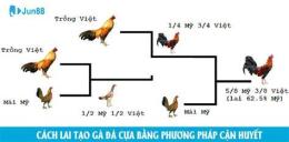 hướng dẫn sử dụng các phương pháp lai tạo gà đá