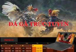 hướng dẫn sử dụng cách bắt kèo đá gà