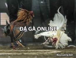 hướng dẫn sử dụng cách chơi đá gà online