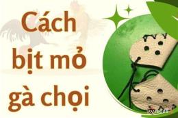 hướng dẫn sử dụng cách làm bao da bịt mỏ gà