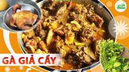 hướng dẫn sử dụng cách nấu gà dã cầy
