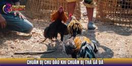 hướng dẫn sử dụng cach tha ga da
