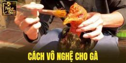 hướng dẫn sử dụng cách vào nghệ cho gà tre đá