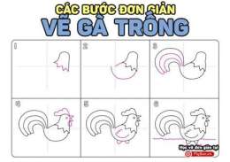 hướng dẫn sử dụng cách vẽ gà đá