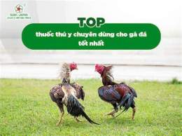 hướng dẫn sử dụng cho tot ga da long an