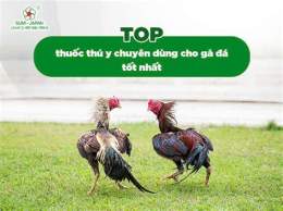 hướng dẫn sử dụng cho tot ga da vl