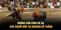 hướng dẫn sử dụng choi da ga .com