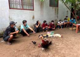 hướng dẫn sử dụng công an bắn dân đá gà