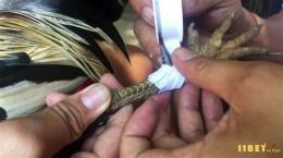 hướng dẫn sử dụng cua ga tre da tien