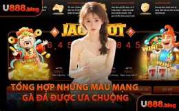 hướng dẫn sử dụng cung mang ga da