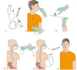 hướng dẫn sử dụng dạ dày gà có mấy ngăn