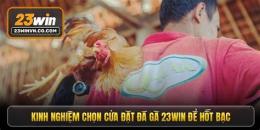 hướng dẫn sử dụng đá gà 23win