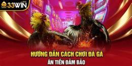 hướng dẫn sử dụng đá gà 33win