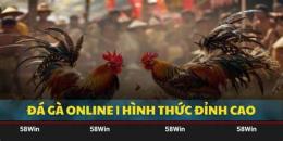 hướng dẫn sử dụng đá gà 58win