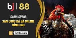 hướng dẫn sử dụng đá gà 88 online