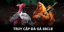 hướng dẫn sử dụng đá gà 88clb