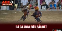 hướng dẫn sử dụng đá gà abc8