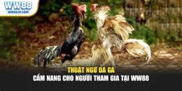 hướng dẫn sử dụng da ga cam truoc tiep
