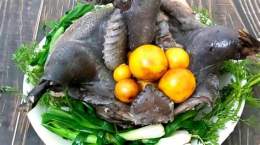 hướng dẫn sử dụng đã gà con gà đen