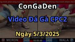 hướng dẫn sử dụng đá gà cpc2 hôm qua