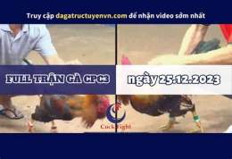 hướng dẫn sử dụng đá gà cpc3 19 7 2023