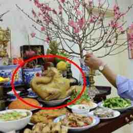 hướng dẫn sử dụng da gà cua giao
