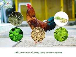 hướng dẫn sử dụng da ga cua xac