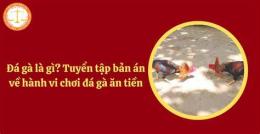 hướng dẫn sử dụng đá gà cược tiền