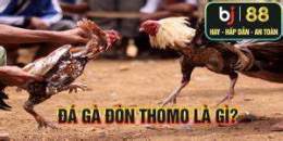 hướng dẫn sử dụng đa ga đon thomo