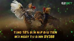 hướng dẫn sử dụng đá gà e2bet đăng nhập