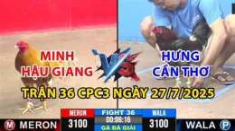 hướng dẫn sử dụng đá gà hưng cần thơ vs má minh