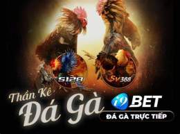hướng dẫn sử dụng đá gà i9bet