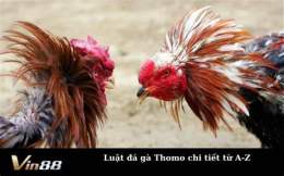 hướng dẫn sử dụng da ga long thomo