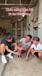 hướng dẫn sử dụng đá gà mơ chích bông