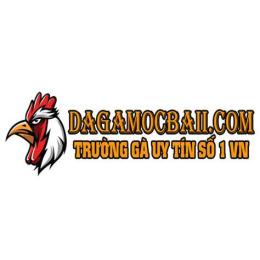 hướng dẫn sử dụng đá gà mộc bài tây ninh