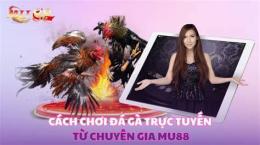 hướng dẫn sử dụng đá gà mu88