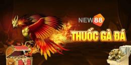hướng dẫn sử dụng đá gà new88 https:1new88.com