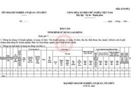hướng dẫn sử dụng đá gà ngày 14 tháng 1 năm 2020